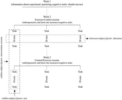 Exercise of Varying Durations: No Acute Effects on Cognitive Performance in Adolescents